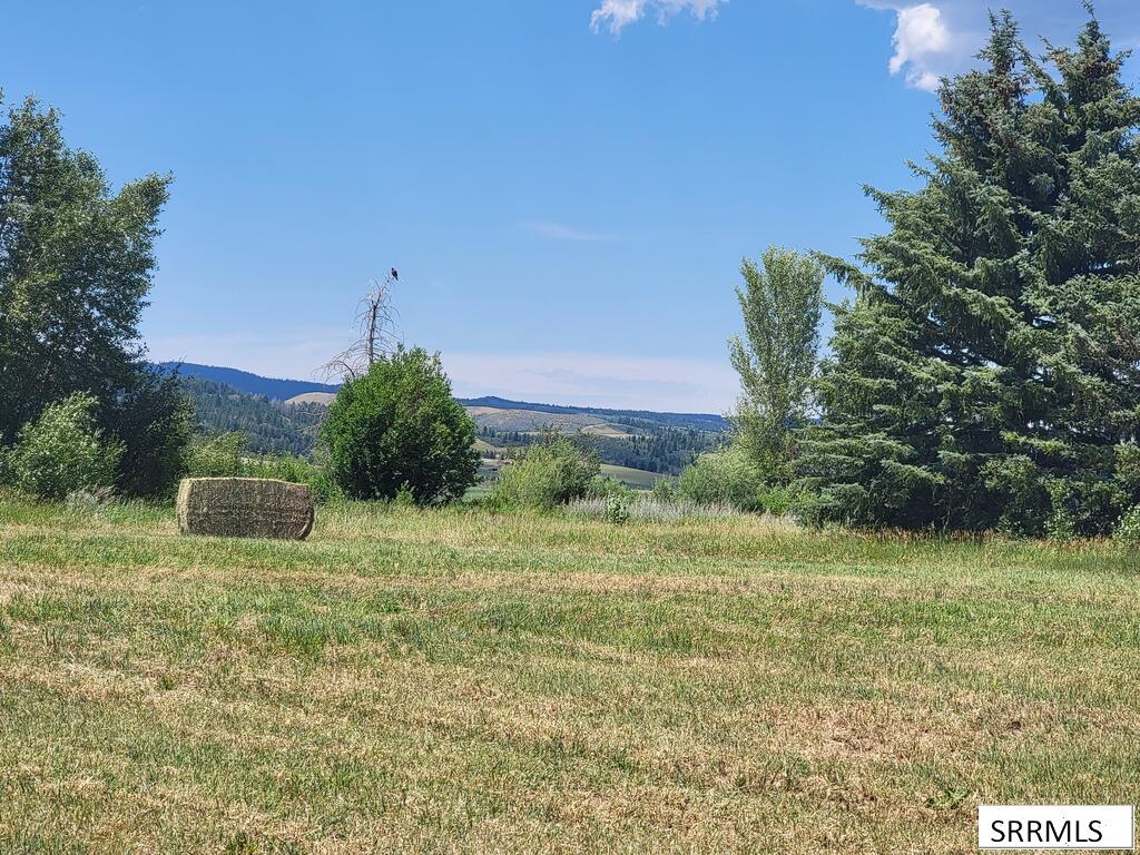 Tbd Lot3b1 Cadis Drive Property Photo 11