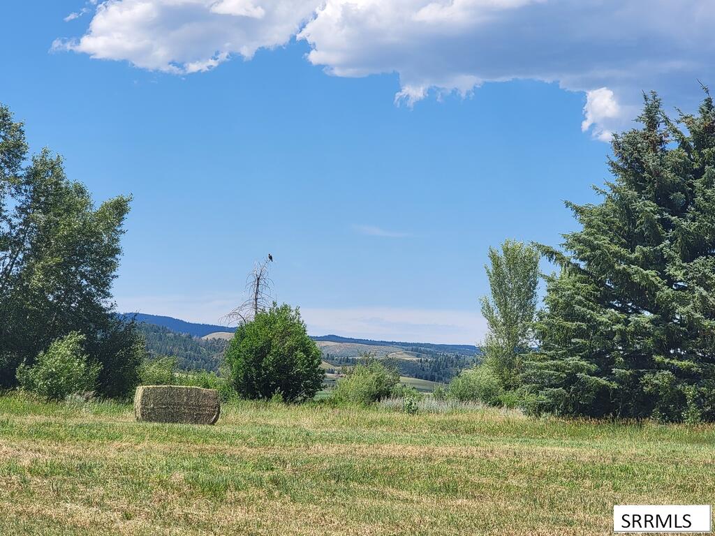 Tbd Lot3b1 Cadis Drive Property Photo 12