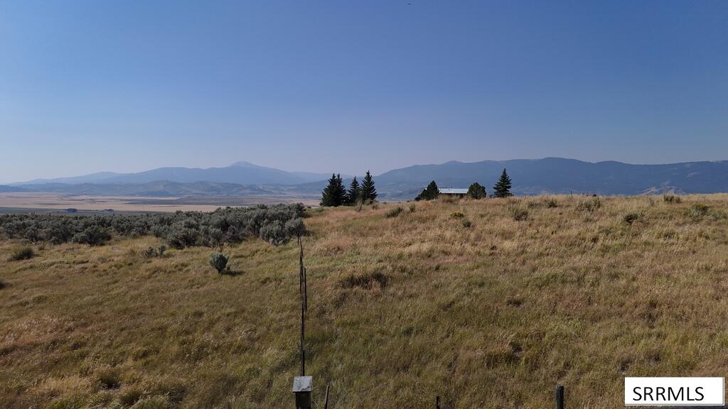 1662 Skyline Drive Property Photo 37
