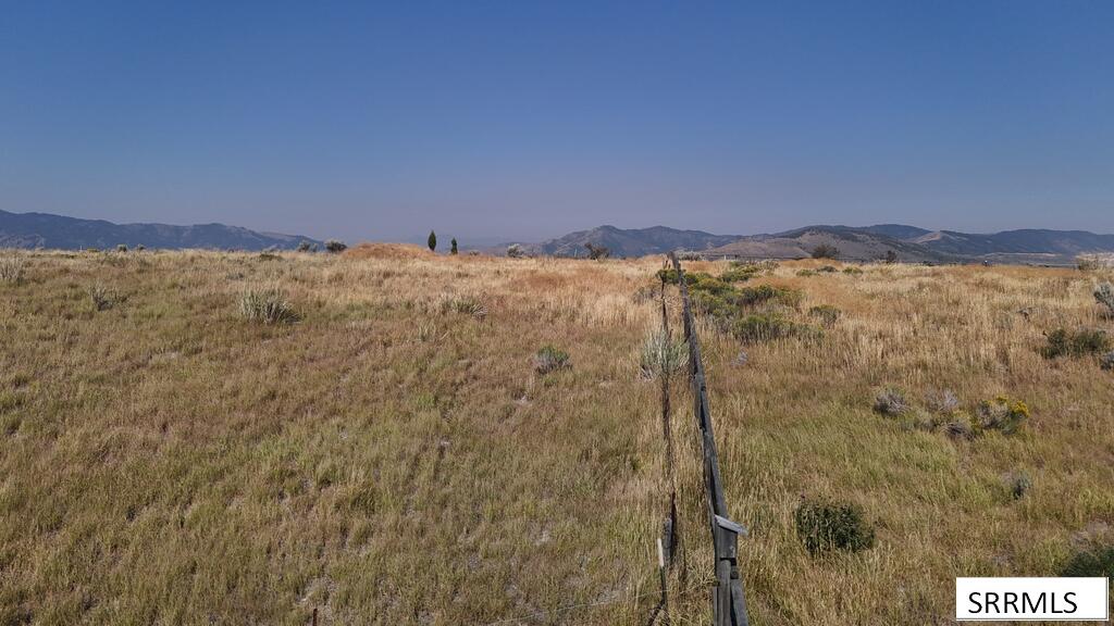 1662 Skyline Drive Property Photo 39