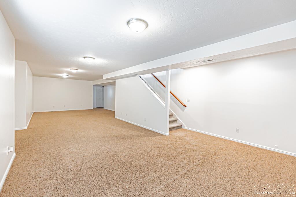 4011 Shadow Mountain Trail Property Photo 39