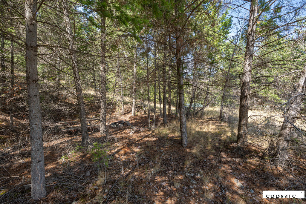 5 Indian Point Drive Property Photo 66