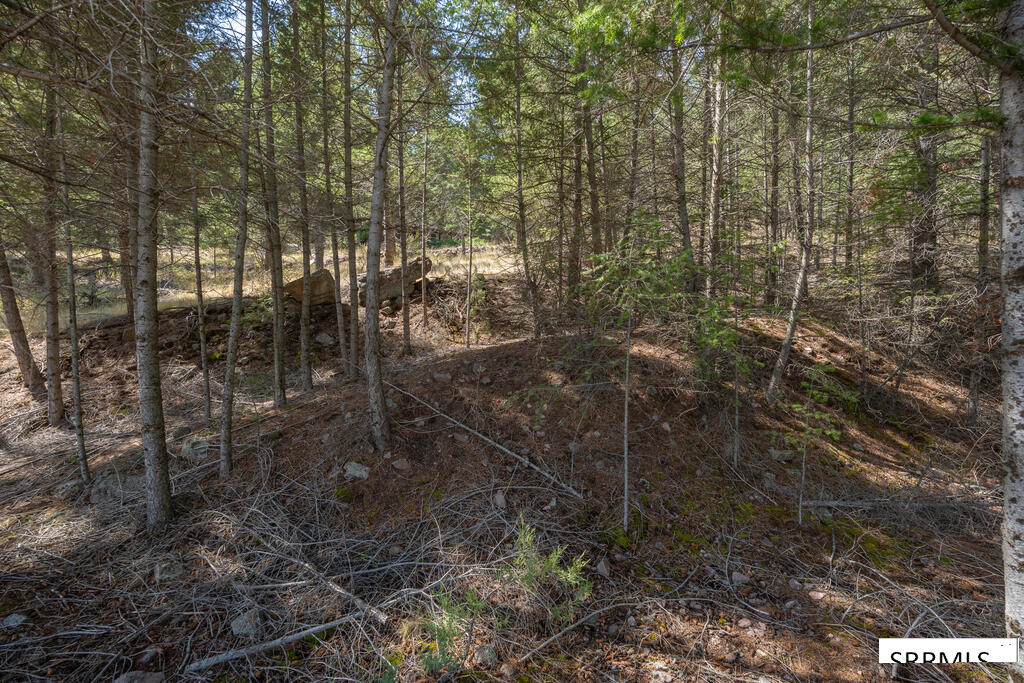 5 Indian Point Drive Property Photo 69