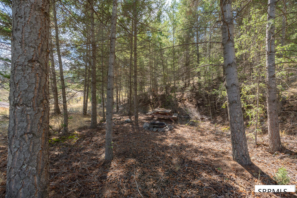 5 Indian Point Drive Property Photo 70