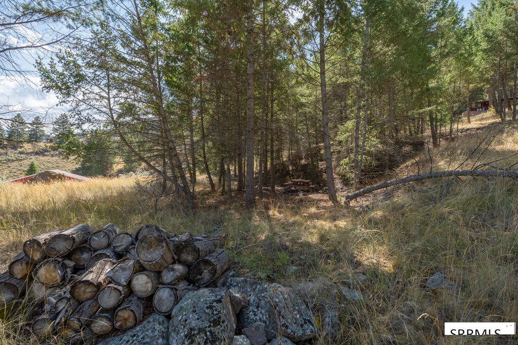 5 Indian Point Drive Property Photo 71