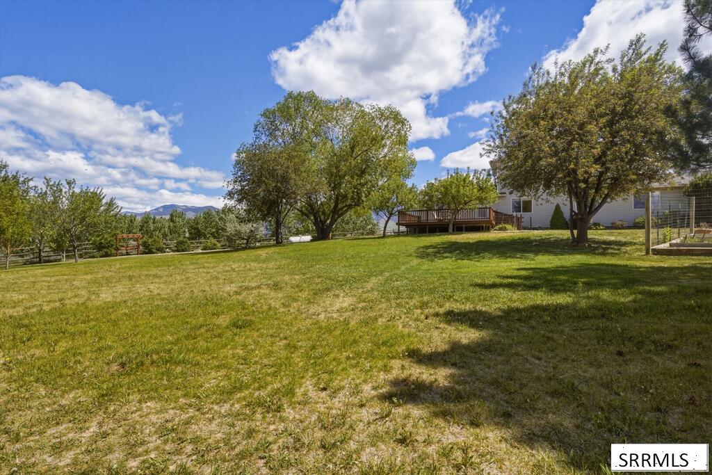 9 Raghorn Road Property Photo 58