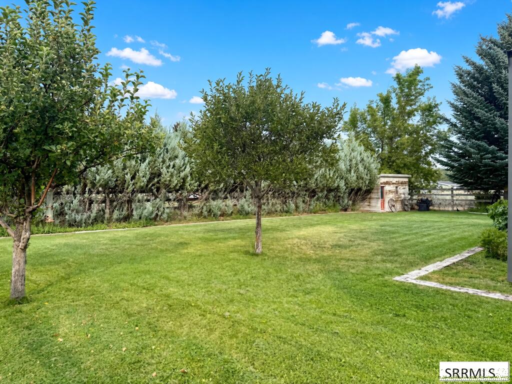 706 College Street Property Photo 31