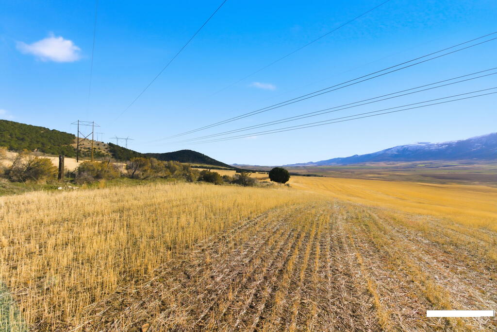 30236 Us Hwy 91 Property Photo 4