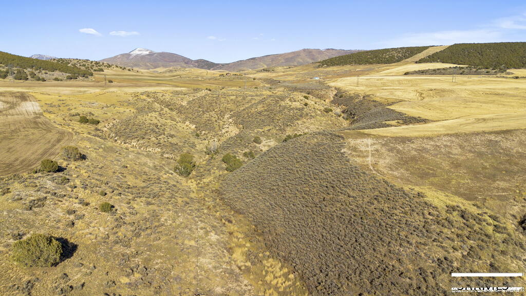 30236 Us Hwy 91 Property Photo 9