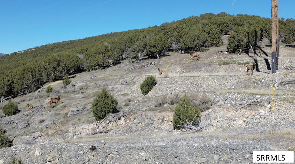 30236 Us Hwy 91 Property Photo 12