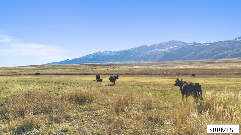 30236 Us Hwy 91 Property Photo 15