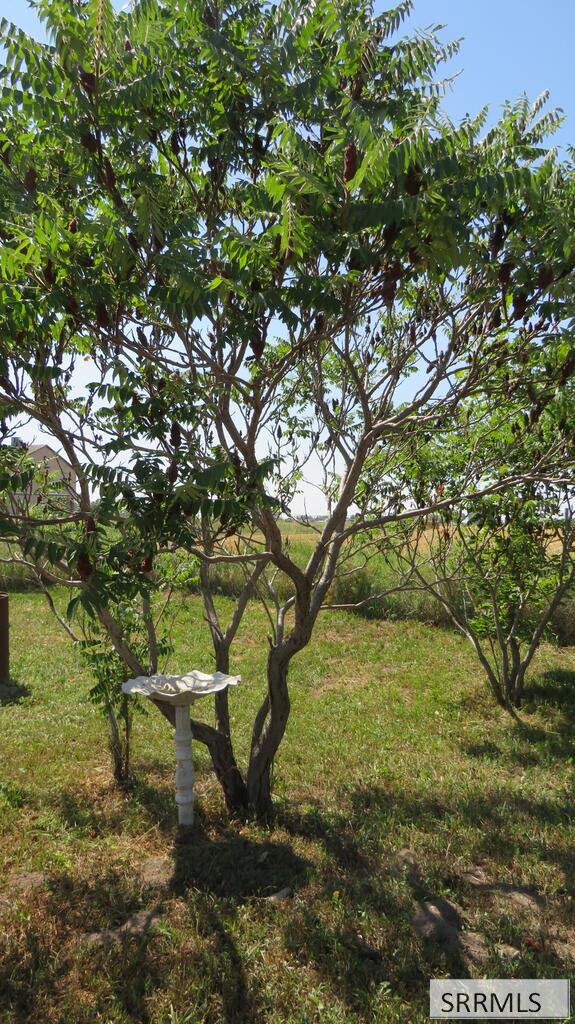 583 N 3500 E Property Photo 18