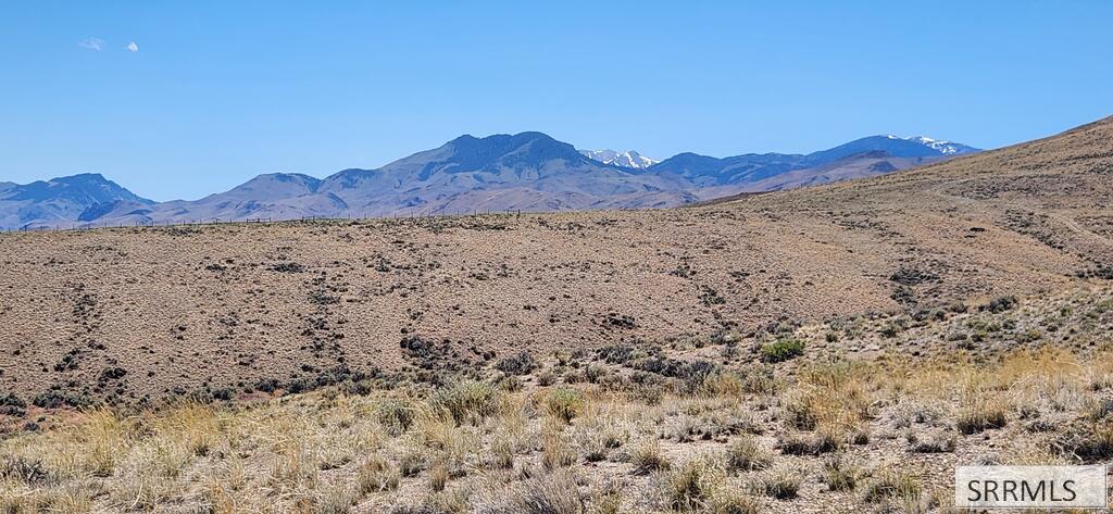 714 Buckskin Run Property Photo 3