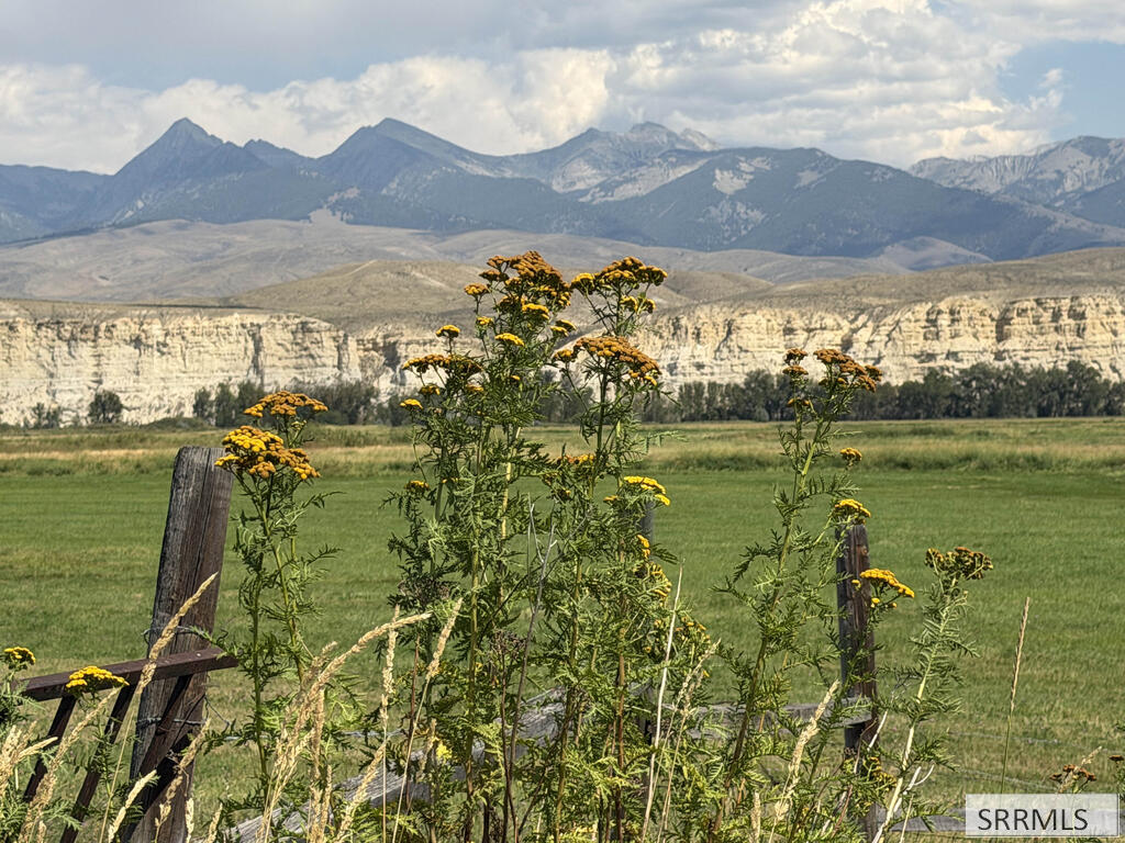 137 Us Hwy 93 Property Photo 46