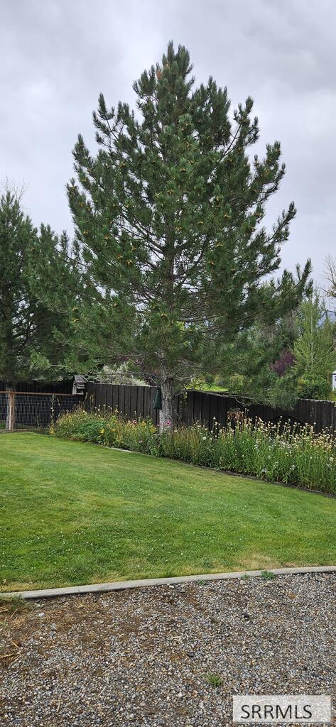 4253 Highway 93 Property Photo 5