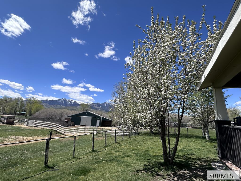 4253 Highway 93 Property Photo 6