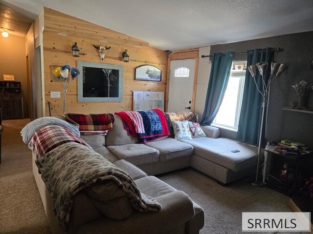 256 Fort Henry Loop Property Photo 4
