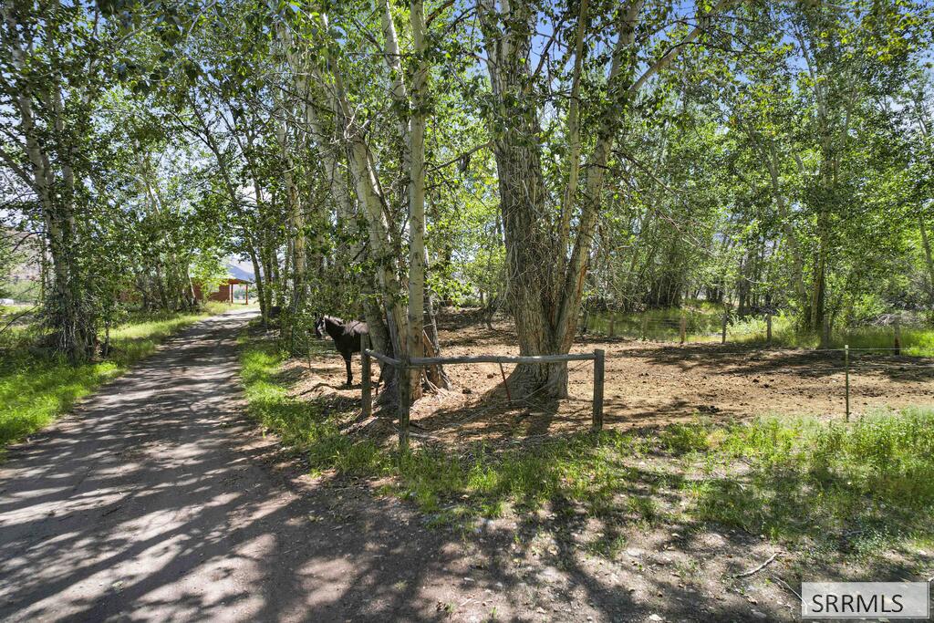 6258 Bartlett Point Road Property Photo 56