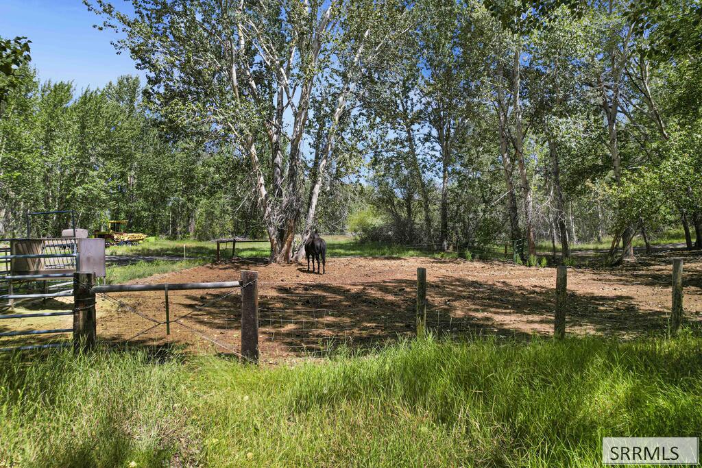 6258 Bartlett Point Road Property Photo 57