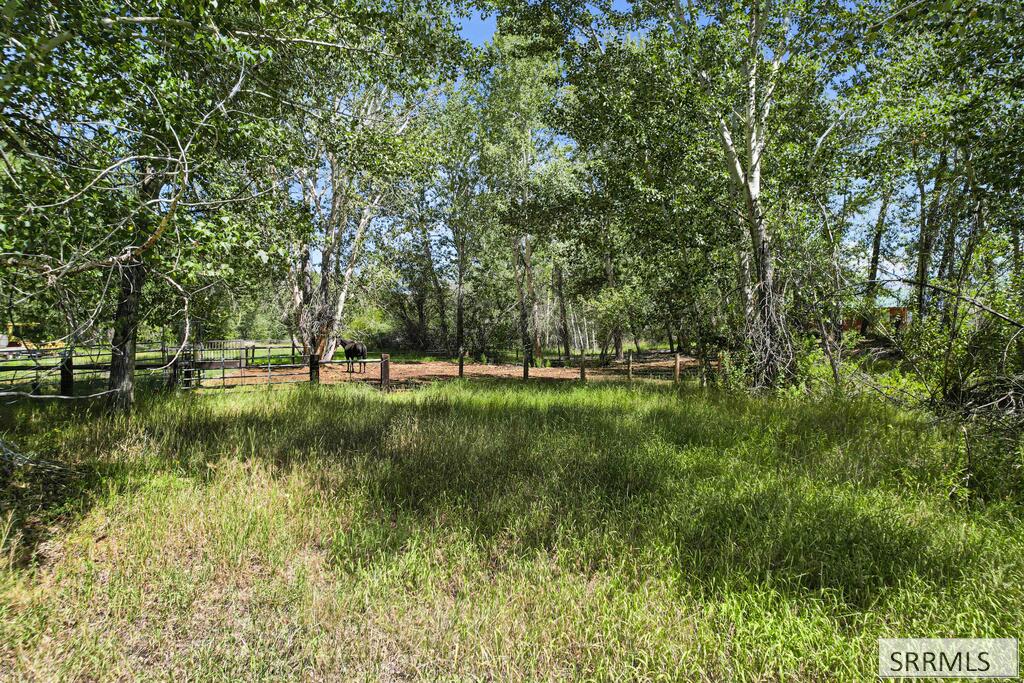 6258 Bartlett Point Road Property Photo 58