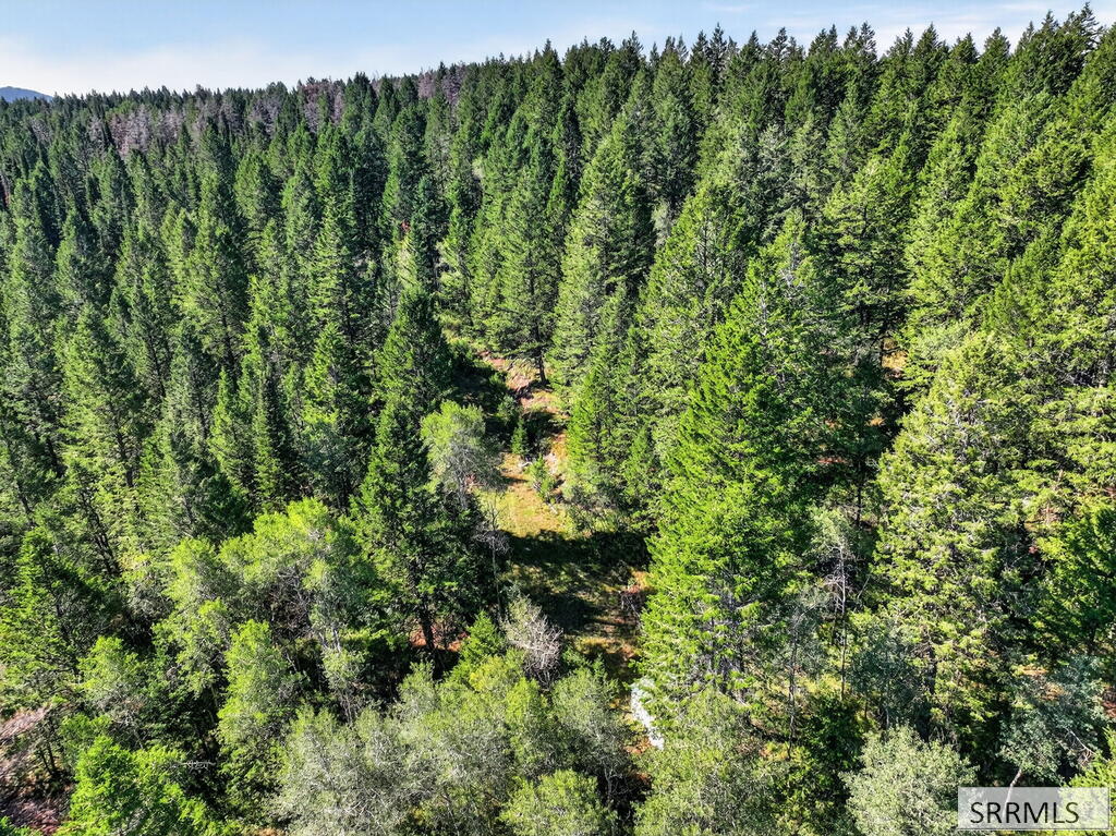 Tbd Coyote Run Property Photo 1