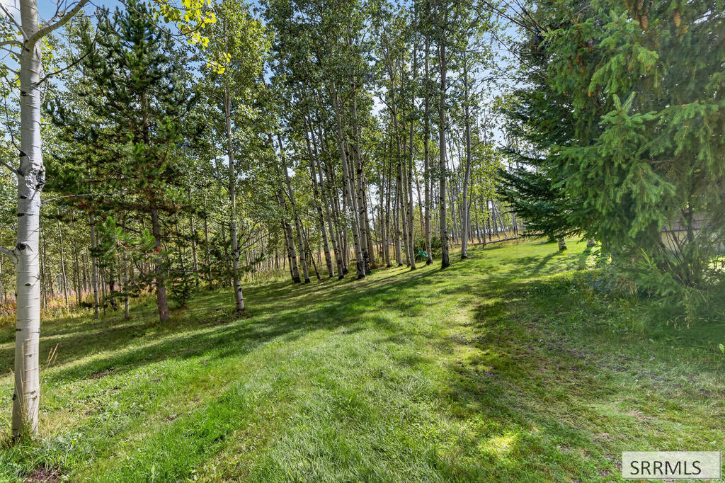 4766 Elk Drive Property Photo 53