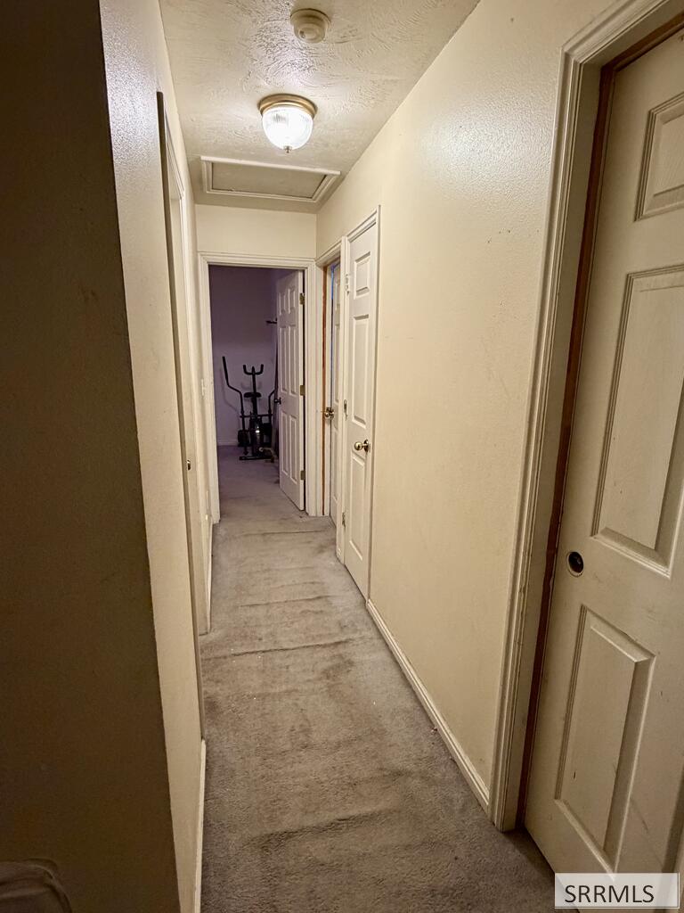 2379 Hoopes Ave Property Photo 8