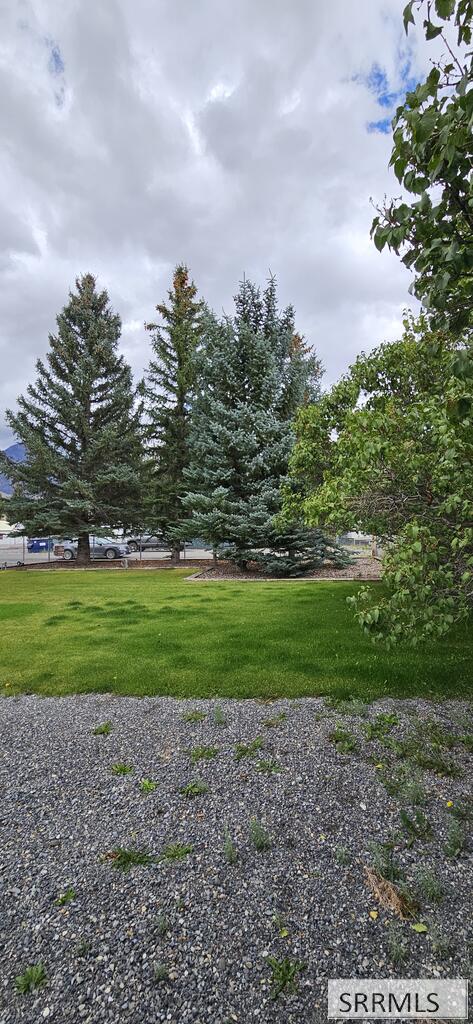 707 Forest Drive Property Photo 16