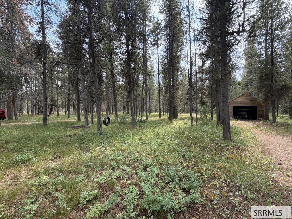 3619 Bills Loop South Road Property Photo 29