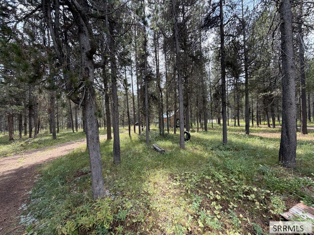 3619 Bills Loop South Road Property Photo 30