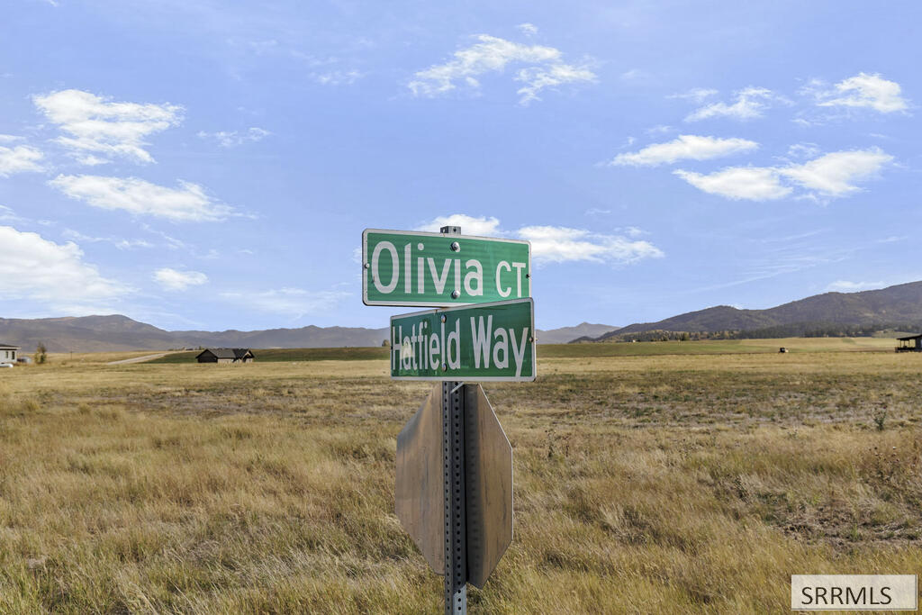 179 Olivia Court Property Photo 4