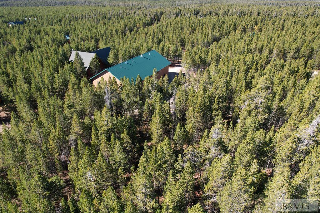 4460 Brody's Cove Property Photo 52