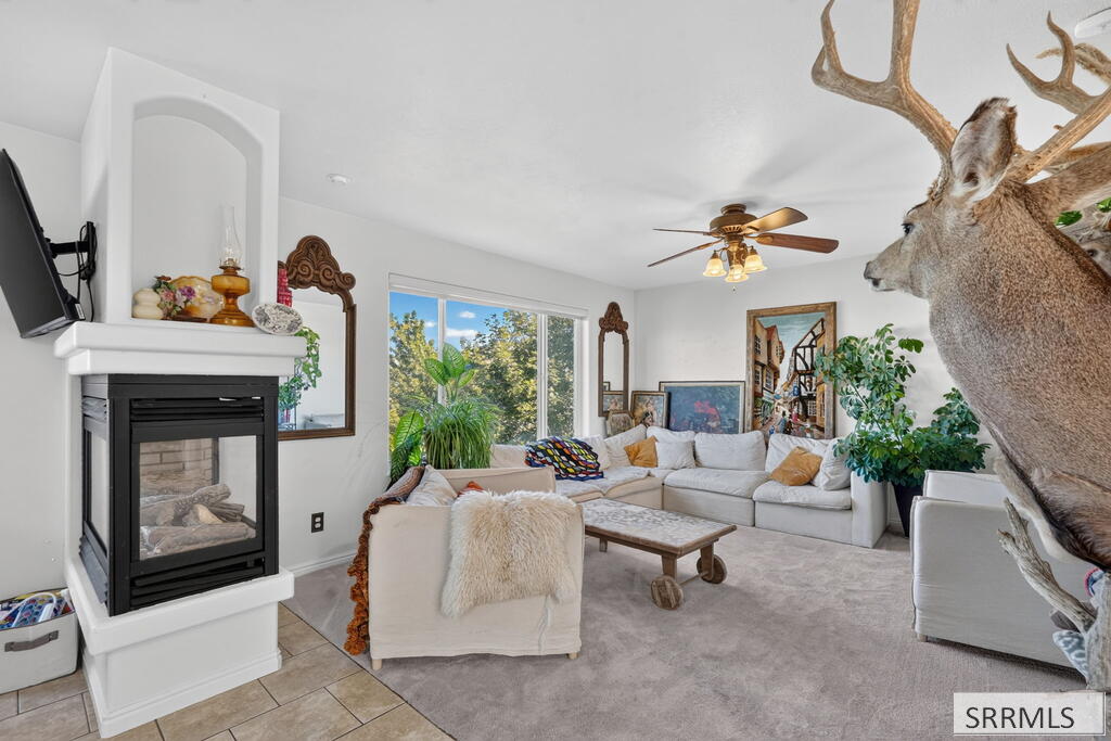 2666 Castle Peak Way Property Photo 3