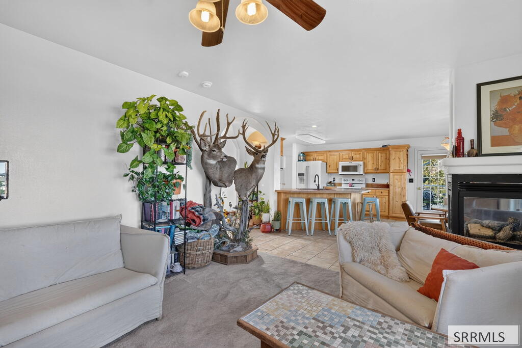 2666 Castle Peak Way Property Photo 5
