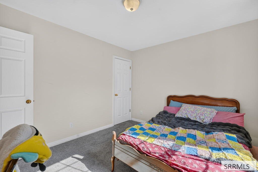 2666 Castle Peak Way Property Photo 23