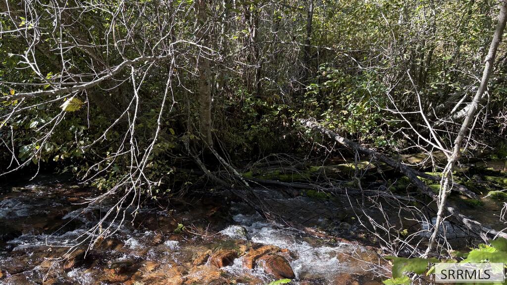Lot 32 Sheep Creek Road Property Photo 1