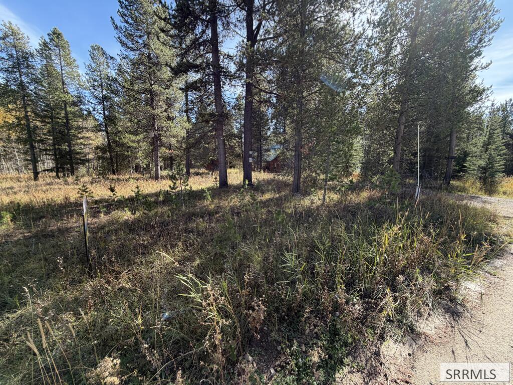 Tbd Beaver Drive Property Photo 1