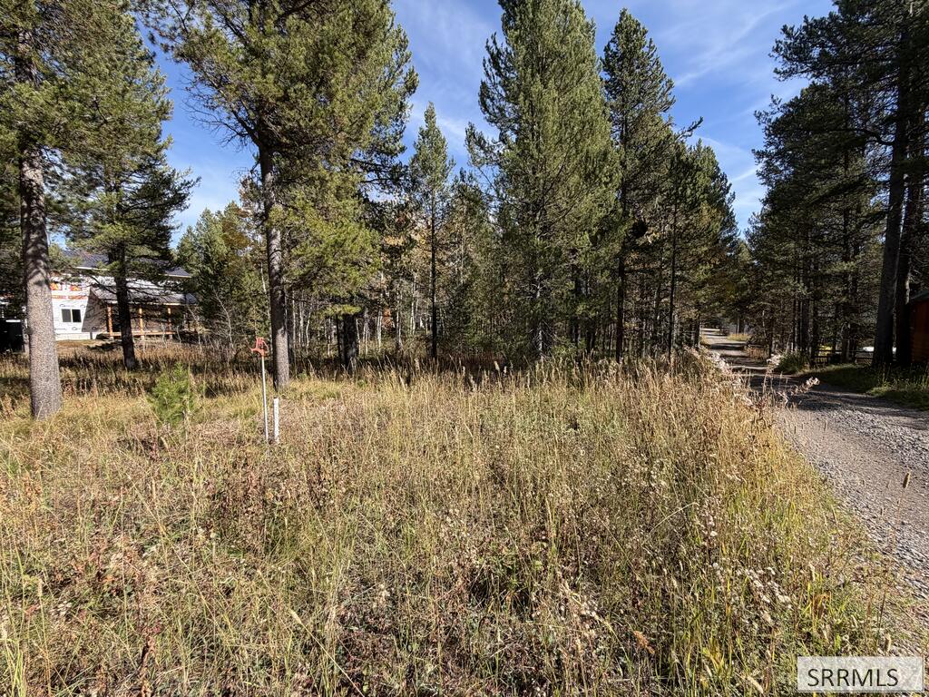 Tbd Beaver Drive Property Photo 2