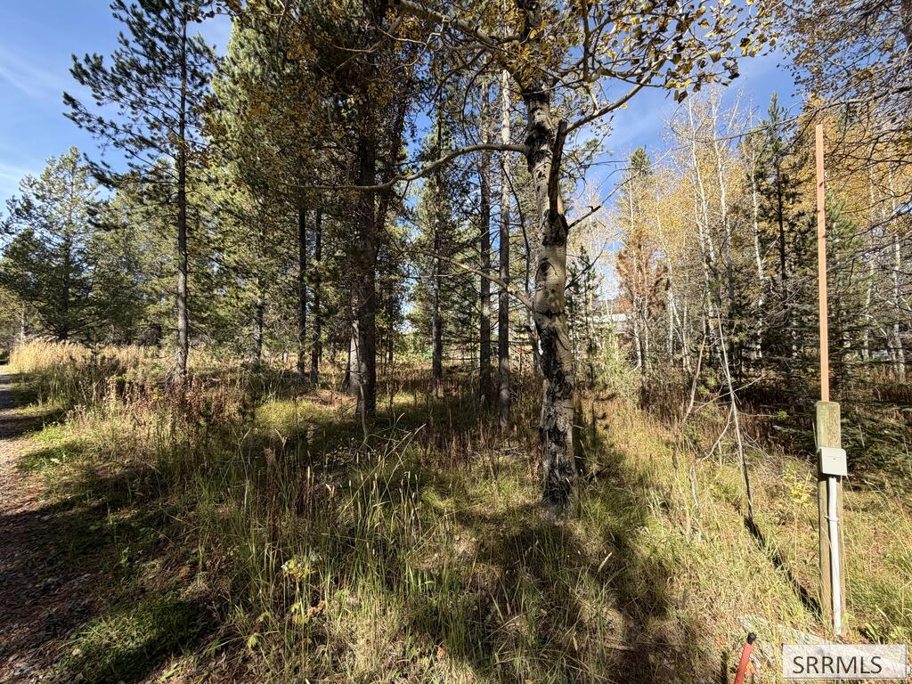 Tbd Beaver Drive Property Photo 3