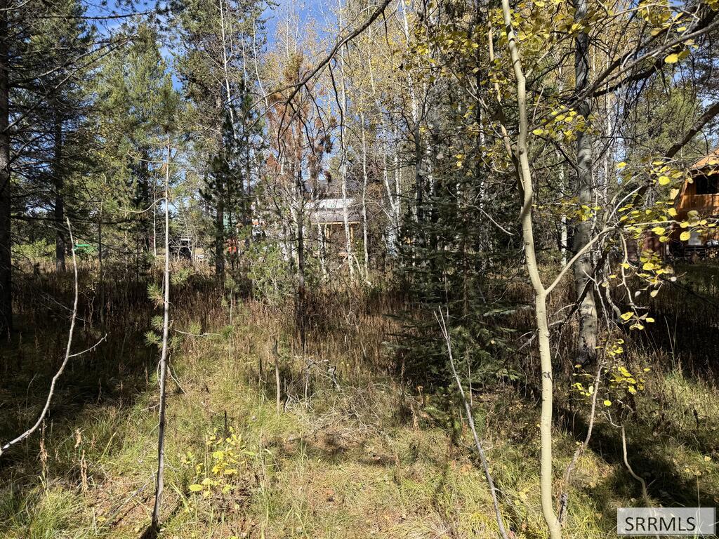 Tbd Beaver Drive Property Photo 4