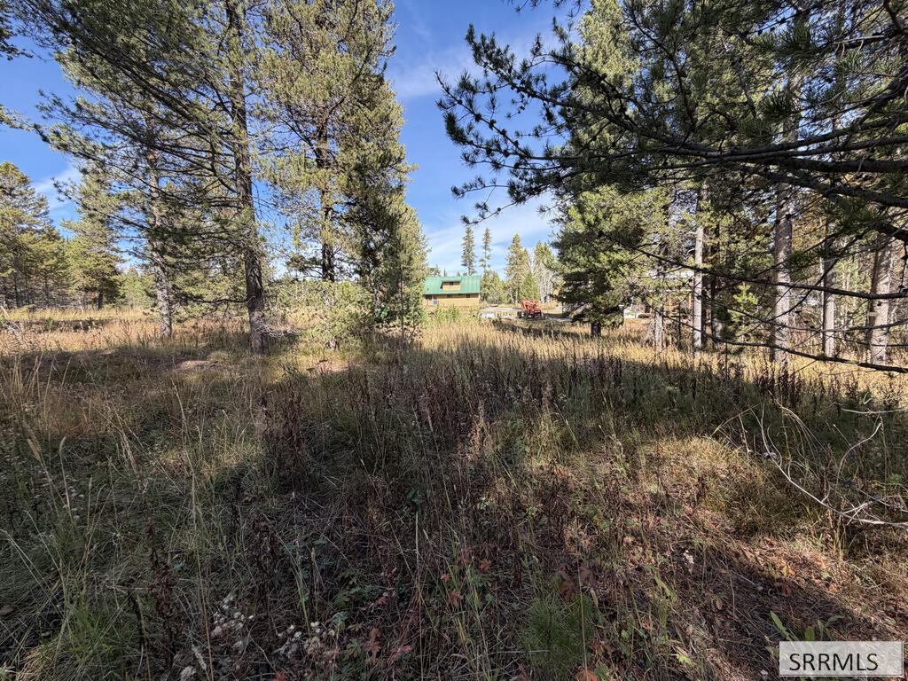 Tbd Beaver Drive Property Photo 5
