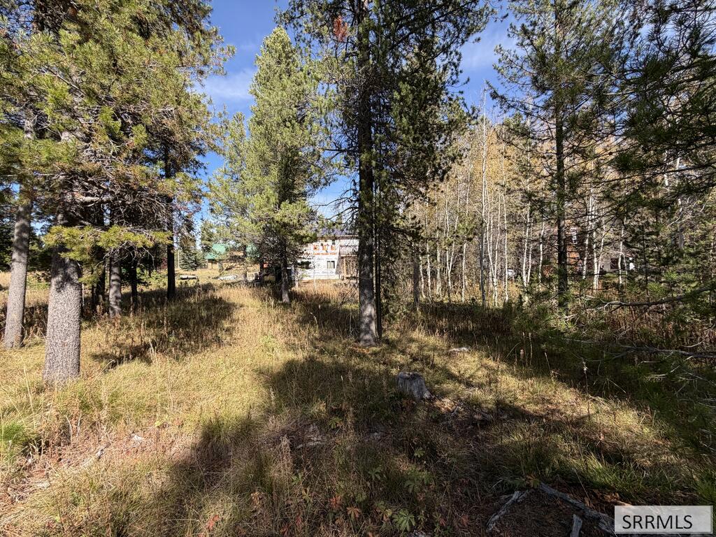 Tbd Beaver Drive Property Photo 7