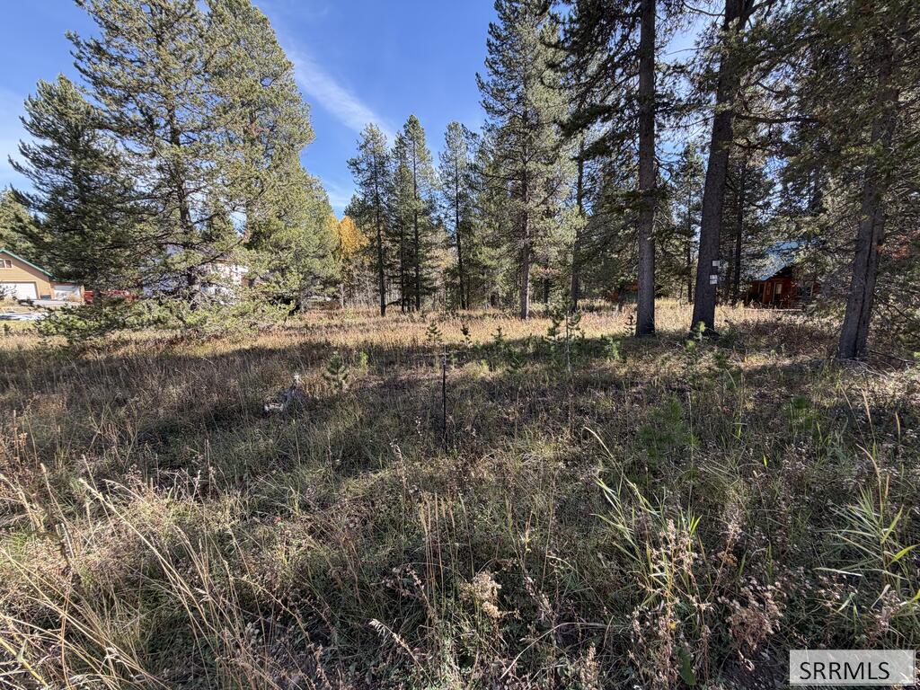 Tbd Beaver Drive Property Photo 8