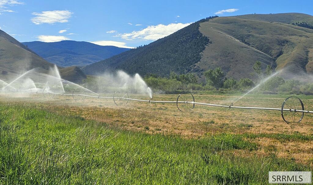 Nkn Agency Creek Road Property Photo 1