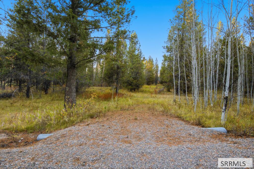 4375 Madeline Trail Property Photo 4