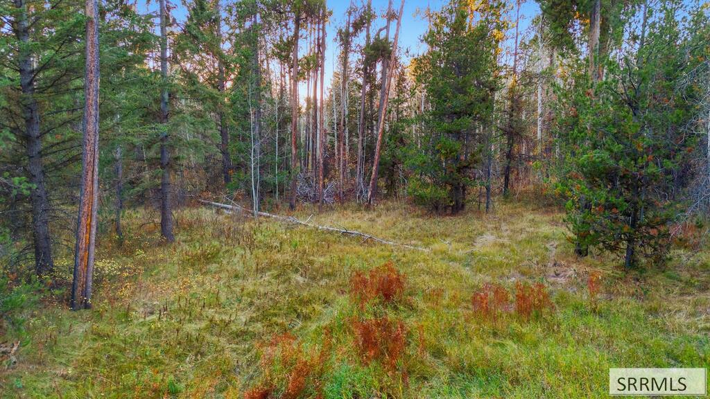 4375 Madeline Trail Property Photo 5
