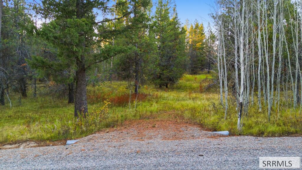 4375 Madeline Trail Property Photo 7