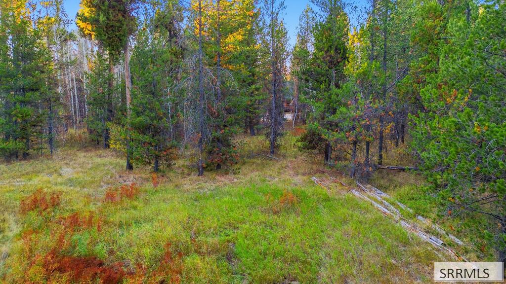4375 Madeline Trail Property Photo 9