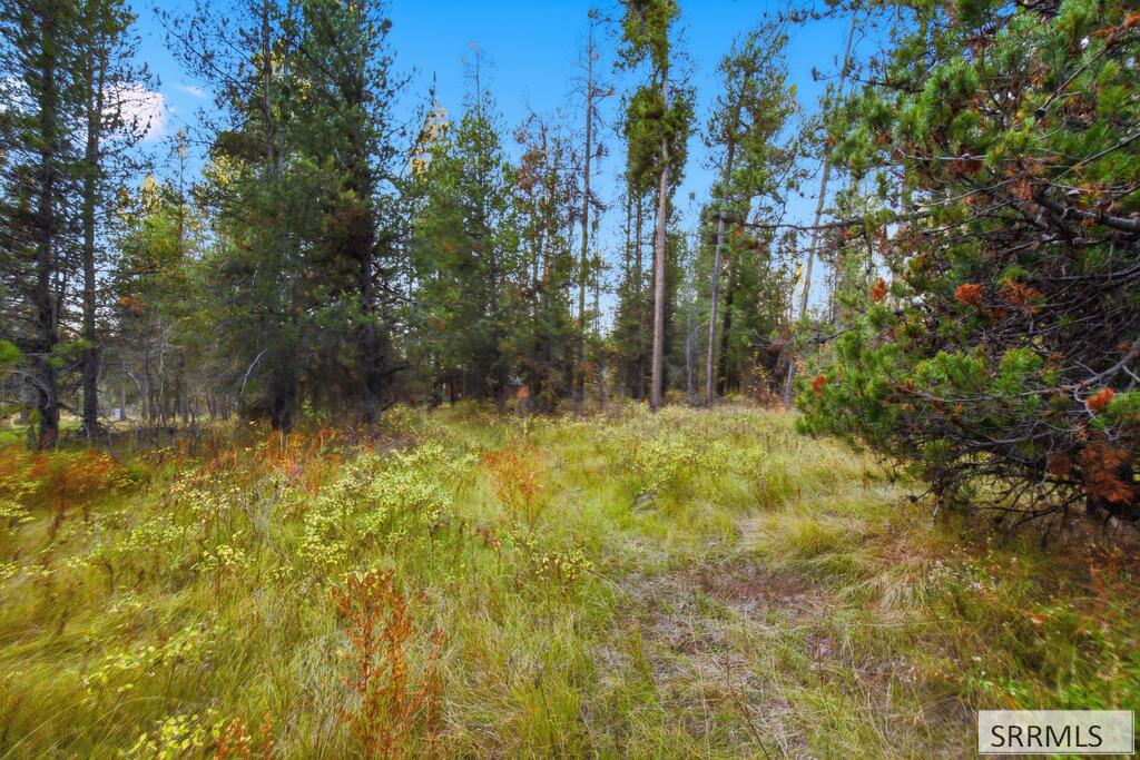 4375 Madeline Trail Property Photo 11