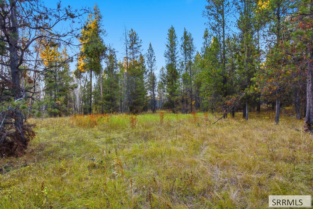 4375 Madeline Trail Property Photo 12